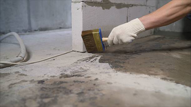 Top rated local Wet Basement Repair specialists in Richardsville, VA